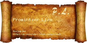Promintzer Liza névjegykártya
